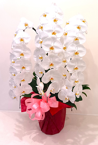 長谷川商店 - ハセガワフローリスト | 花の通信販売からご葬儀、社葬を総合プロデュース